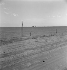 Abandoned farm on the high plains, Texas County, Oklahoma, 1938. Creator: Dorothea Lange
