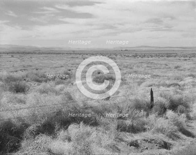 Abandoned farmland in the Columbia Basin, north of Quincy, Grant County, Washington, 1939. Creator: Dorothea Lange.
