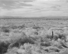 Abandoned farmland in the Columbia Basin, north of Quincy, Grant County, Washington, 1939. Creator: Dorothea Lange