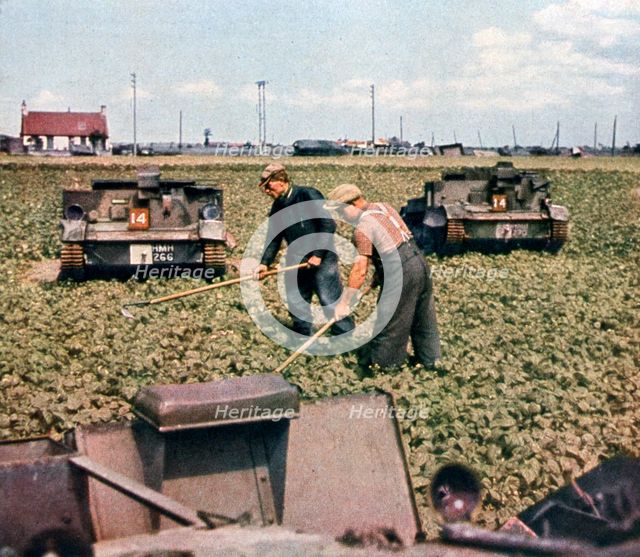 Abandoned French tanks in a field, Dunkirk, France, 1940. Artist: Unknown