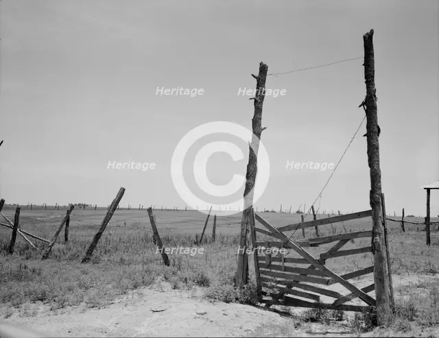 Abandoned land, exhausted soil, Carter County, Oklahoma, 1937. Creator: Dorothea Lange.