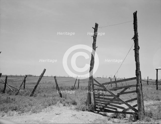 Abandoned land, exhausted soil, Carter County, Oklahoma, 1937. Creator: Dorothea Lange.