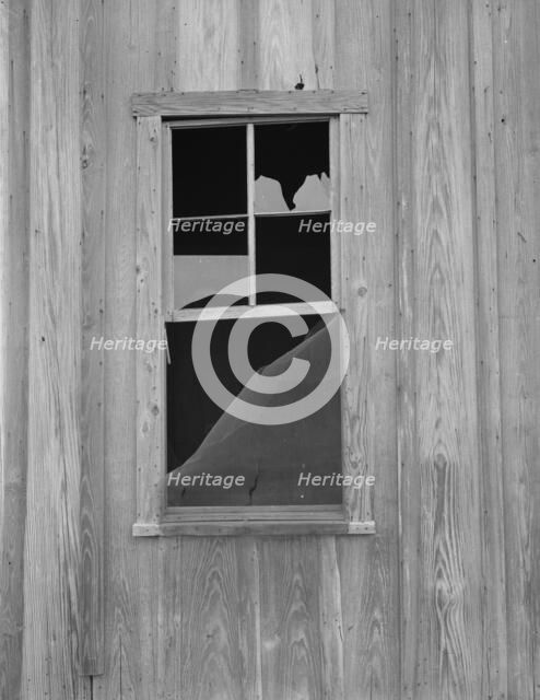 Abandoned shack of a tenant farmer near Roscoe, Texas, 1937. Creator: Dorothea Lange.