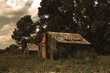 Abandoned shacks, vicinity of Beaufort, S.C., 1939. Creator: Marion Post Wolcott