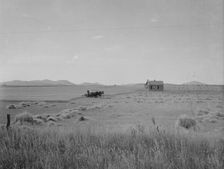 Abandoned tenant house and large-scale wheat field near Kincaid, Texas, 1937. Creator: Dorothea Lange