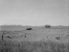 Abandoned tenant house and large-scale wheat field near Kincaid, Texas, 1937. Creator: Dorothea Lange
