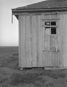 Abandoned tenant house, Childress County, Texas, 1937. Creator: Dorothea Lange