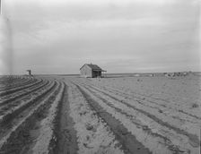 Abandoned tenant house, Hall County, Texas, 1937. Creator: Dorothea Lange