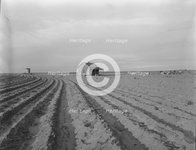 Abandoned tenant house, Hall County, Texas, 1937. Creator: Dorothea Lange.