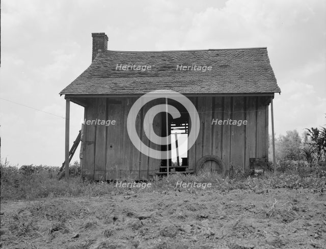 Abandoned tenant house on a mechanized plantation of the Mississippi Delta, 1937. Creator: Dorothea Lange.