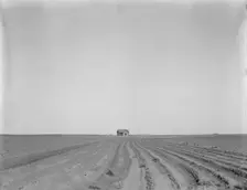 Abandoned tenant house, seen across tractored cotton fields, Childress County, Texas, 1937. Creator: Dorothea Lange