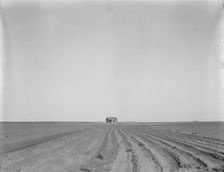 Abandoned tenant house, seen across tractored cotton fields, Childress County, Texas, 1937. Creator: Dorothea Lange