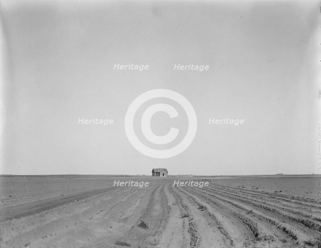 Abandoned tenant house, seen across tractored cotton fields, Childress County, Texas, 1937. Creator: Dorothea Lange.