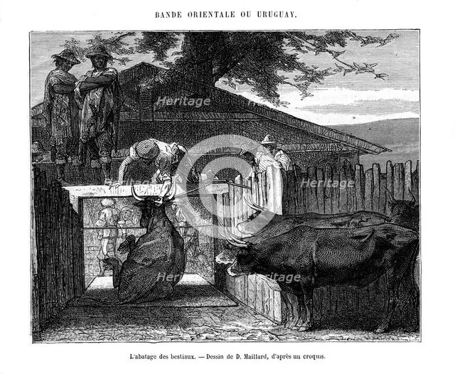 Abattoir, Uruguay, 19th century. Artist: D Maillard