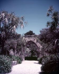 Abbey ruins in Tresco gardens, Scilly Isles, c1955. Creator: Arthur Charles Kirby Ware