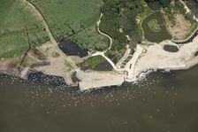Abbotsbury Swannery, Dorset, 2014. Creator: Historic England Staff Photographer