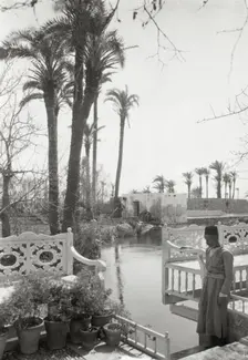 Abdul Baha garden, Acre, 1925. Creator: Frances Benjamin Johnston