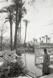 Abdul Baha garden, Acre, 1925. Creator: Frances Benjamin Johnston