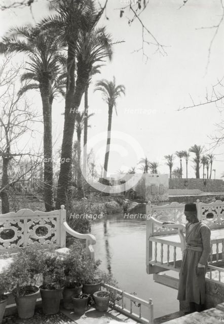 Abdul Baha garden, Acre, 1925. Creator: Frances Benjamin Johnston.
