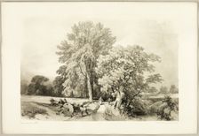 Abele and Oak, from The Park and the Forest, 1841. Creator: James Duffield Harding
