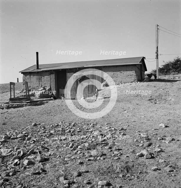 Abode basement dugout house on Roberts' farm, Willow Creek area. Malheur County, Oregon, 1939. Creator: Dorothea Lange.