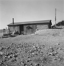 Abode basement dugout house on Roberts farm, Willow Creek area. Malheur County, Oregon, 1939. Creator: Dorothea Lange