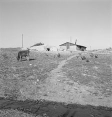 Abode basement dugout house on Roberts farm, Willow Creek area, Oregon, 1939. Creator: Dorothea Lange