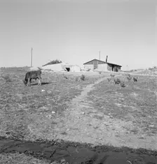 Abode basement dugout house on Roberts farm, Willow Creek area, Oregon, 1939. Creator: Dorothea Lange