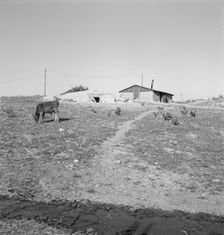 Abode basement dugout house on Roberts farm, Willow Creek area, Oregon, 1939. Creator: Dorothea Lange