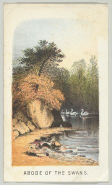 Abode of the Swans, from the series, Views in Central Park, New York, Part 2, 1864. Creator: Louis Prang
