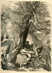 Above the Natural Bridge 1872. Creator: Henry Duff Linton