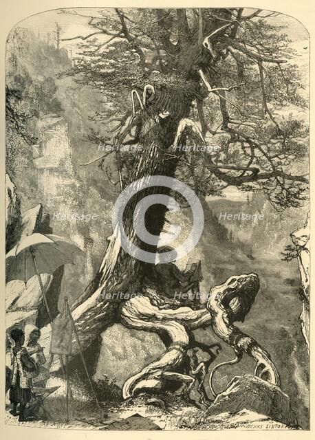 'Above the Natural Bridge', 1872.  Creator: Henry Duff Linton.