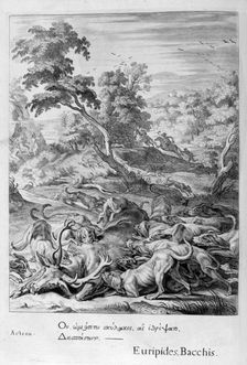 Actaeon turned into a stag and devoured by his hounds, 1655. Creator: Unknown