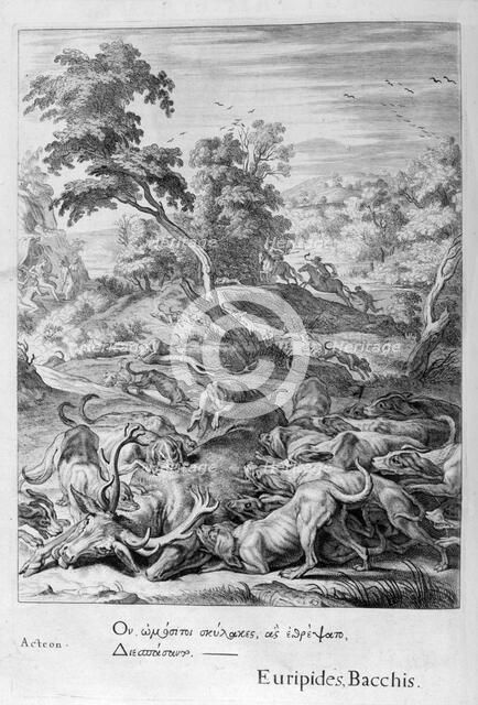 Actaeon turned into a stag and devoured by his hounds, 1655. Creator: Unknown.