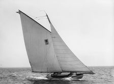 Acushla [II], 1897 July 31. Creator: John S Johnston