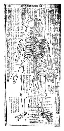 Acupuncture chart for the front of the body, Japanese, 19th century