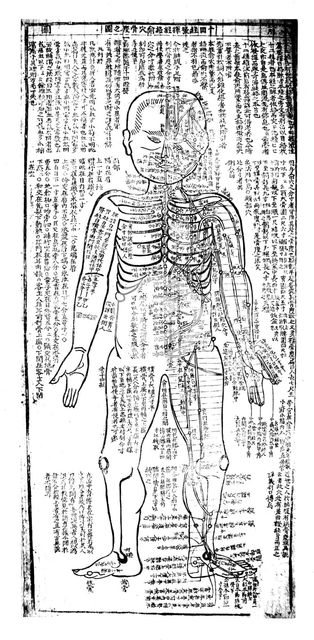 Acupuncture chart for the front of the body, Japanese, 19th century. Artist: Unknown