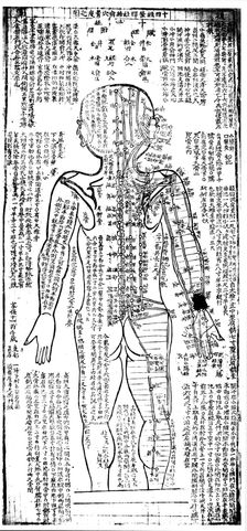 Acupuncture chart for the rear of the body, Japanese, 19th century