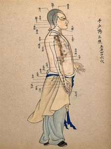 Acupuncture chart with a series of points indicated on the figure of a standing Chinese man. Creator: Unknown
