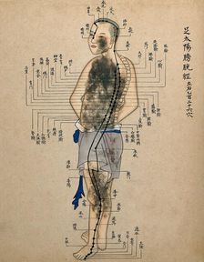 Acupuncture chart with a series of points indicated on the figure of a standing Chinese man. Creator: Unknown