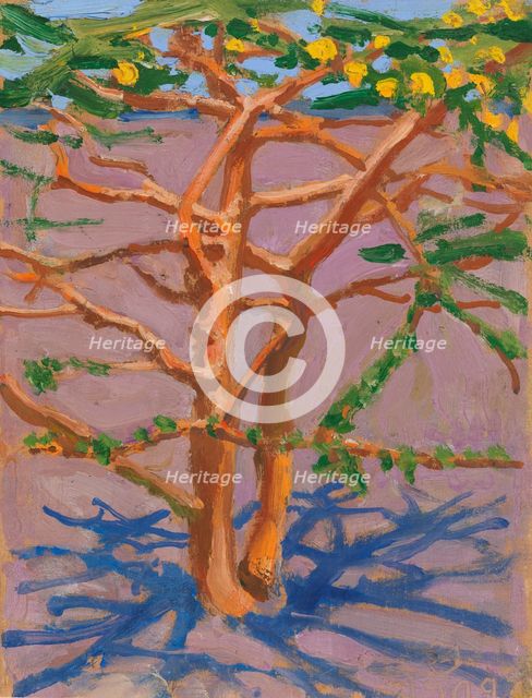 Acacia on the Savannah, 1909. Creator: Akseli Gallen-Kallela.