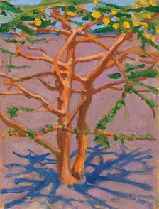 Acacia on the Savannah, 1909. Creator: Akseli Gallen-Kallela