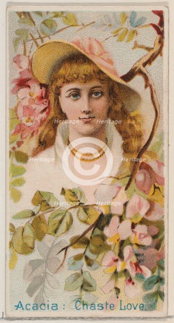 Acacia: Chaste Love, from the series Floral Beauties and Language of Flowers (N75) for Duk..., 1892. Creator: Donaldson Brothers.