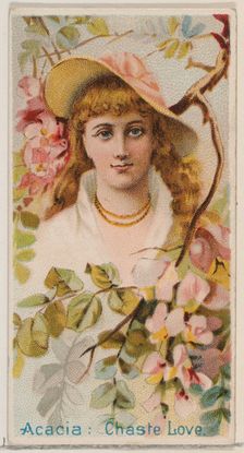 Acacia: Chaste Love, from the series Floral Beauties and Language of Flowers (N75) for Duk..., 1892. Creator: Donaldson Brothers