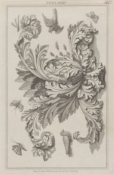 Acanthus Leaves, Birds and Insects, no. CCCLXXII ("Designs for Various Ornaments,..., April 1, 1792. Creator: Michelangelo Pergolesi