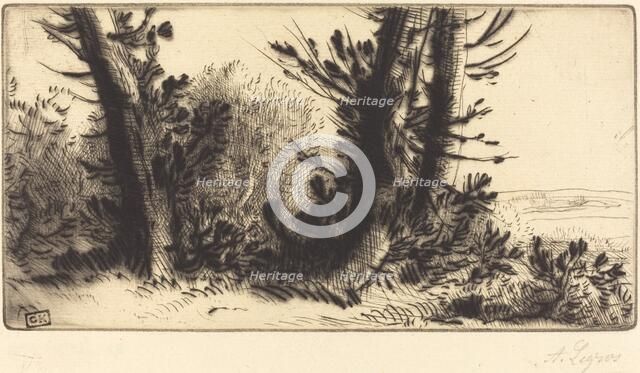 Across Country (A travers champ). Creator: Alphonse Legros.