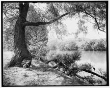 Across the French Broad near Hot Springs, N.C., (1902?). Creator: William H. Jackson