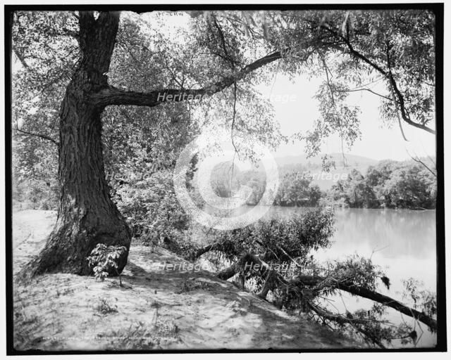 Across the French Broad near Hot Springs, N.C., (1902?). Creator: William H. Jackson.