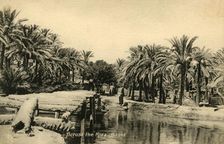 Across the "Kora", Basra c1918-c1939. Creator: Unknown
