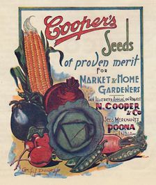 Advertisement for Cooper's seeds, 1936. Creator: Cecil Dawes